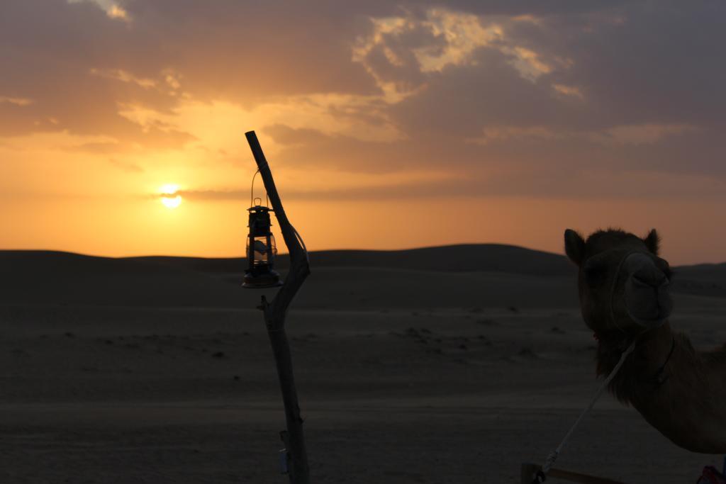 Legend Desert Camp Fulayj al Masha'ikh 외부 사진