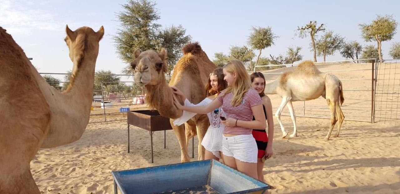 Legend Desert Camp Fulayj al Masha'ikh 외부 사진